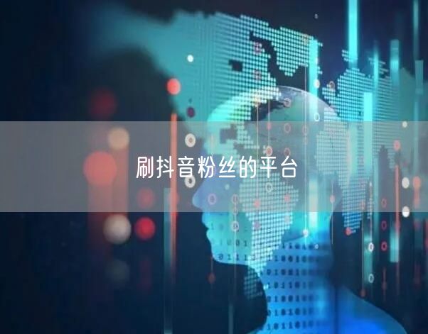 刷抖音粉丝的平台